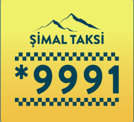 *9991 Şimal Taksi